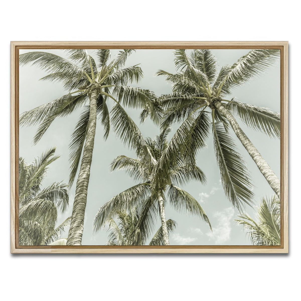 AUTO-MOCKUP WHITE | Vintage Palm Trees | 1 Piece | Natural Framed Canvas | group=4x3