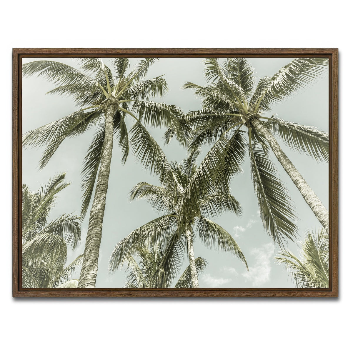 AUTO-MOCKUP WHITE | Vintage Palm Trees | 1 Piece | Walnut Framed Canvas | group=4x3