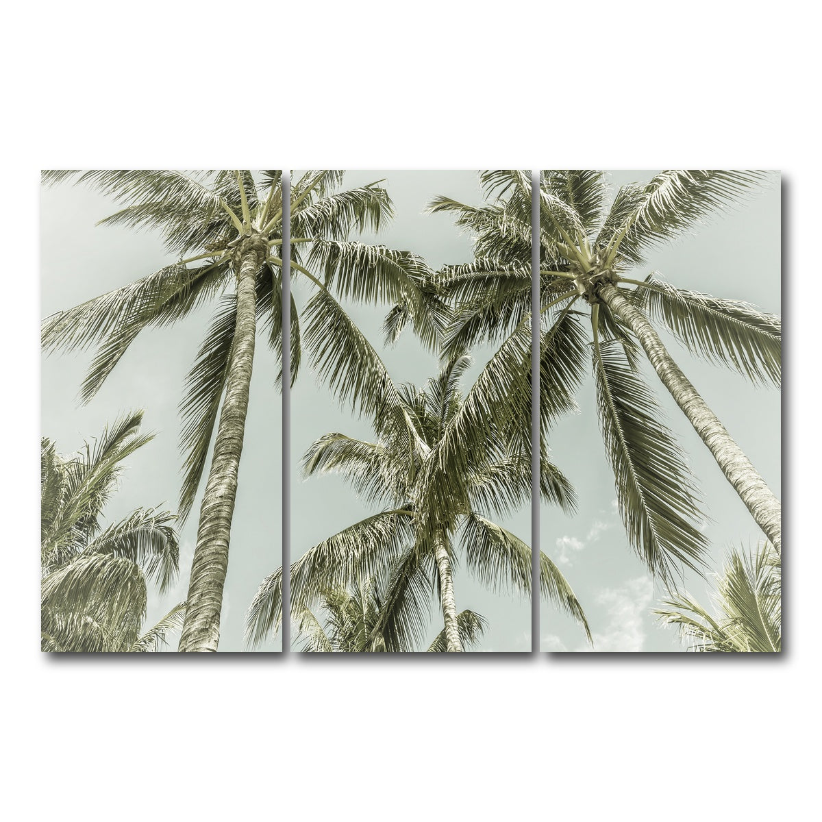 AUTO-MOCKUP WHITE | Vintage Palm Trees | 3 Piece | Gallery Wrap Canvas | group=12x24