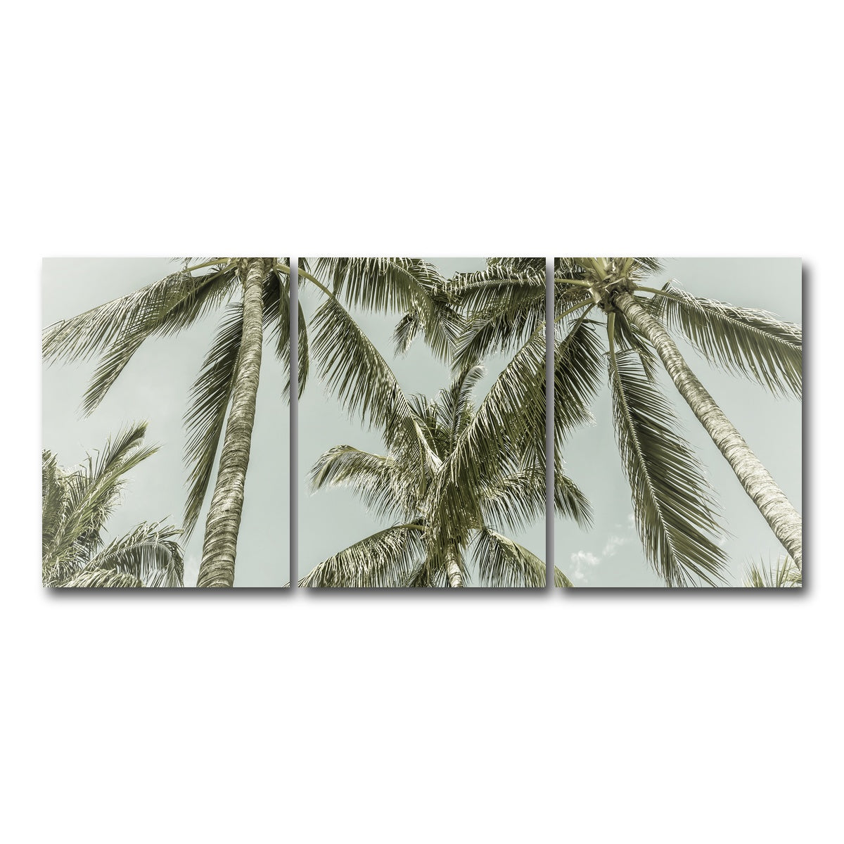 AUTO-MOCKUP WHITE | Vintage Palm Trees | 3 Piece | Gallery Wrap Canvas | group=18x24