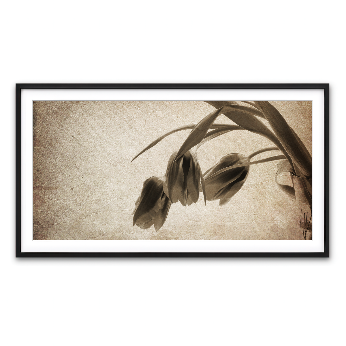 Framed Print 2x1 Black