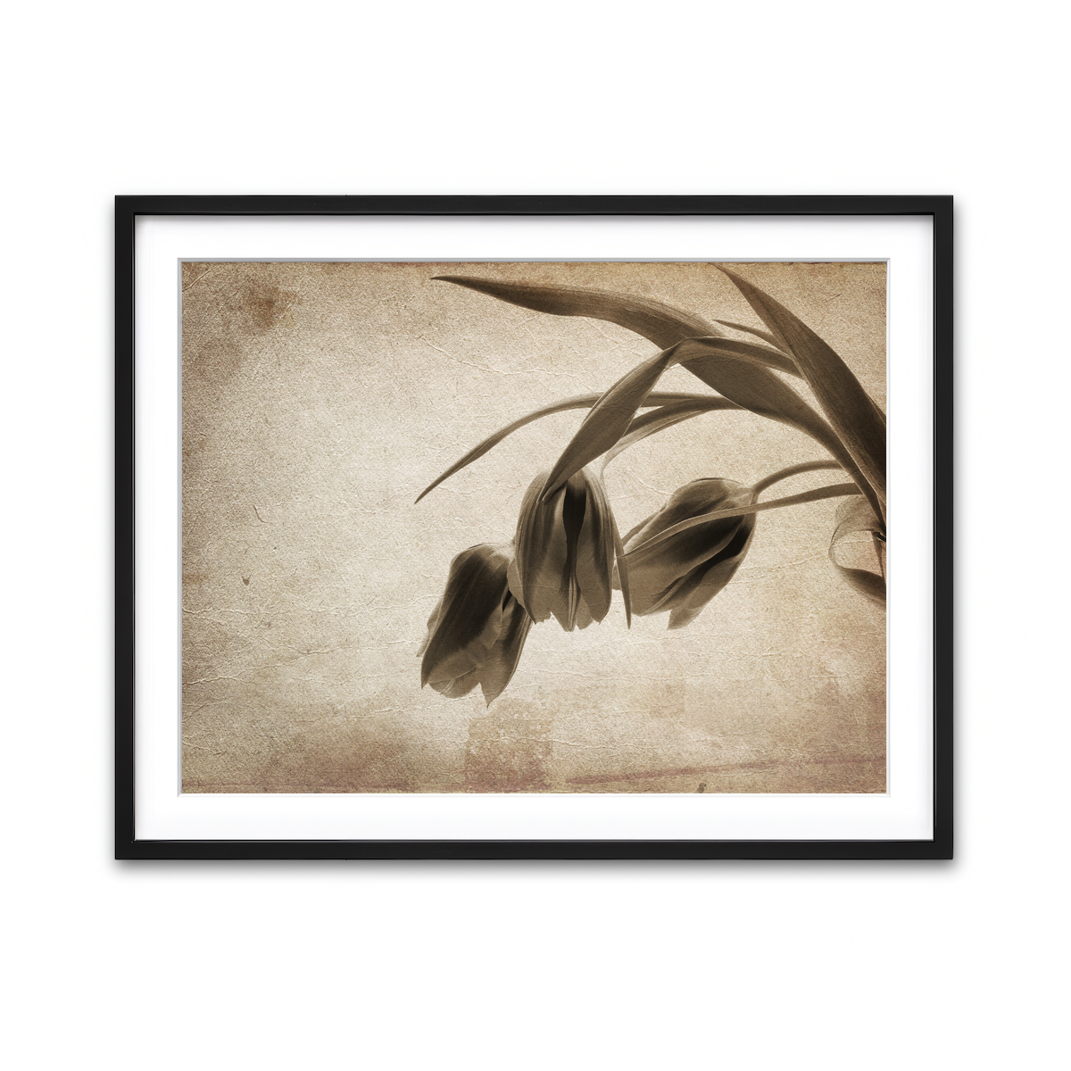 Framed Print 4x3 Black