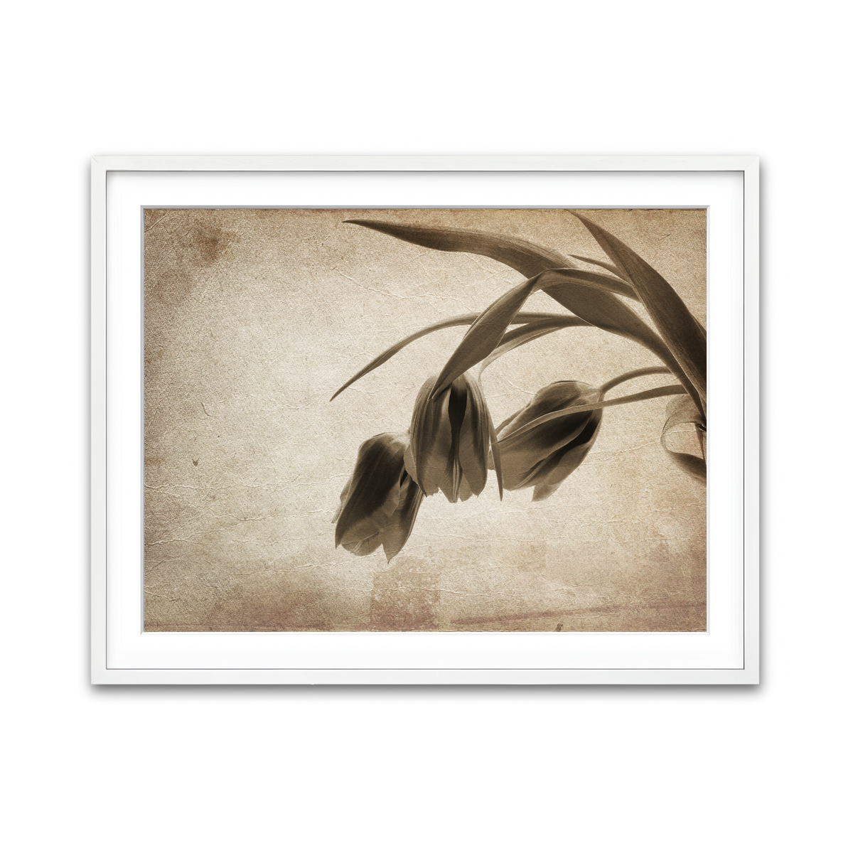 Framed Print 4x3 White