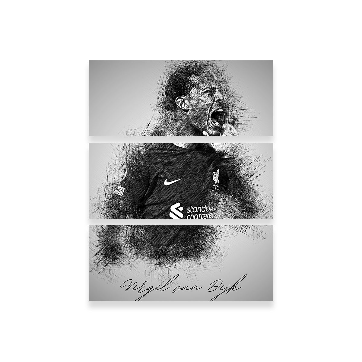 Virgil van Dijk Wall Art