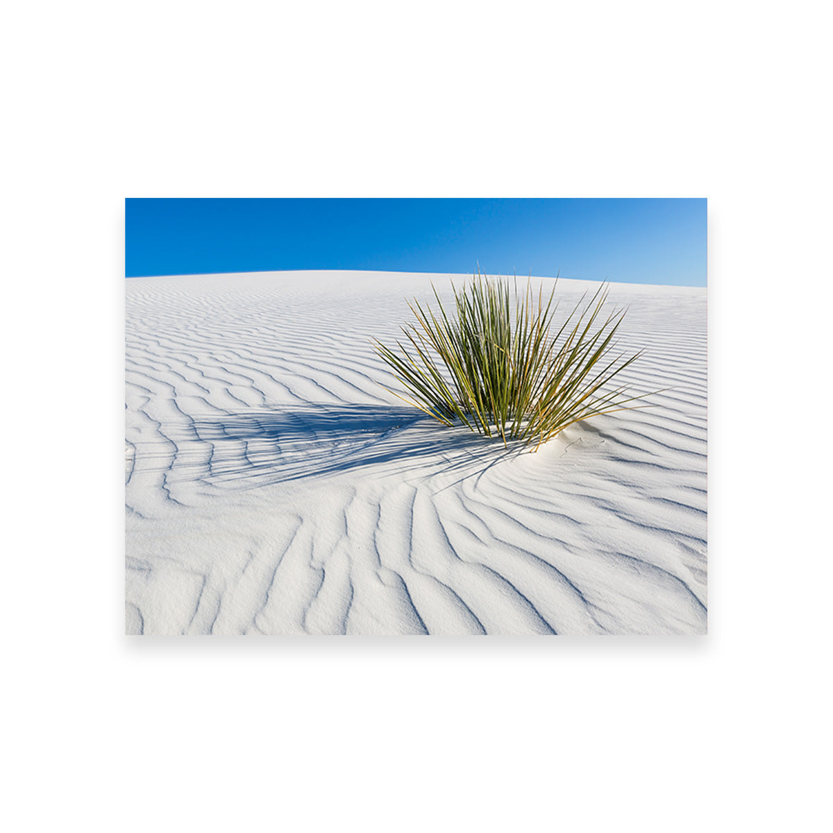 WHITE SANDS Idyllic Scenery Wall Art