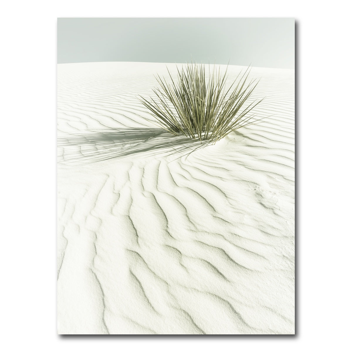 AUTO-MOCKUP WHITE | WHITE SANDS Idyllic scenery | 1 Piece | Gallery Wrap Canvas | group=3x4
