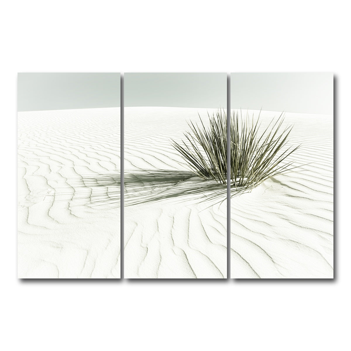 AUTO-MOCKUP WHITE | WHITE SANDS Vintage Dune | 3 Piece | Gallery Wrap Canvas | group=12x24