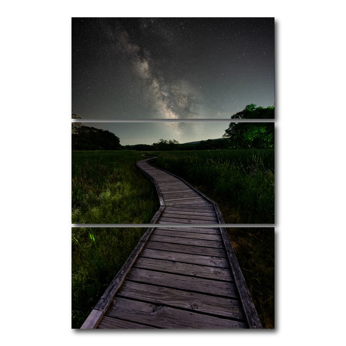 AUTO-MOCKUP WHITE | Walk Amongst the Stars | 3 Piece | Gallery Wrap Canvas | group=12x24_stacked
