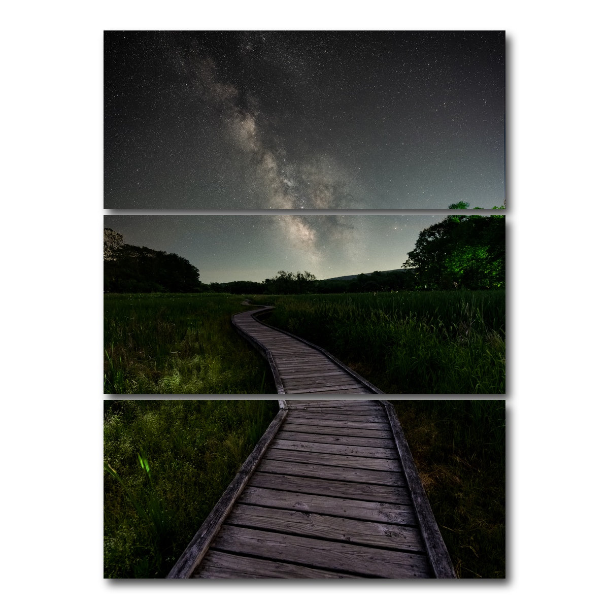 AUTO-MOCKUP WHITE | Walk Amongst the Stars | 3 Piece | Gallery Wrap Canvas | group=8x18_stacked
