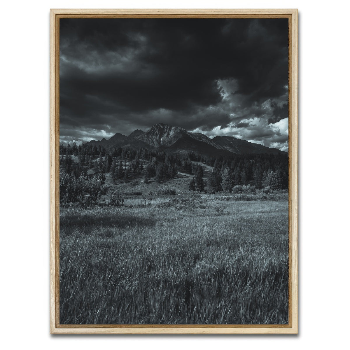 AUTO-MOCKUP WHITE | Wardner Fort Steele Road | 1 Piece | Natural Framed Canvas | group=3x4