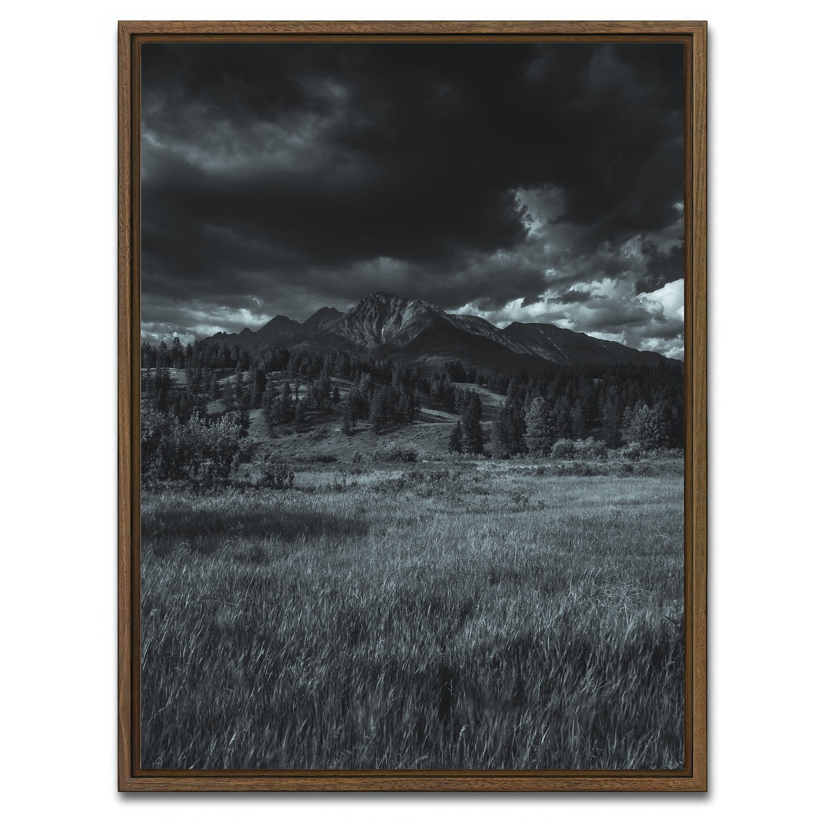 AUTO-MOCKUP WHITE | Wardner Fort Steele Road | 1 Piece | Walnut Framed Canvas | group=3x4