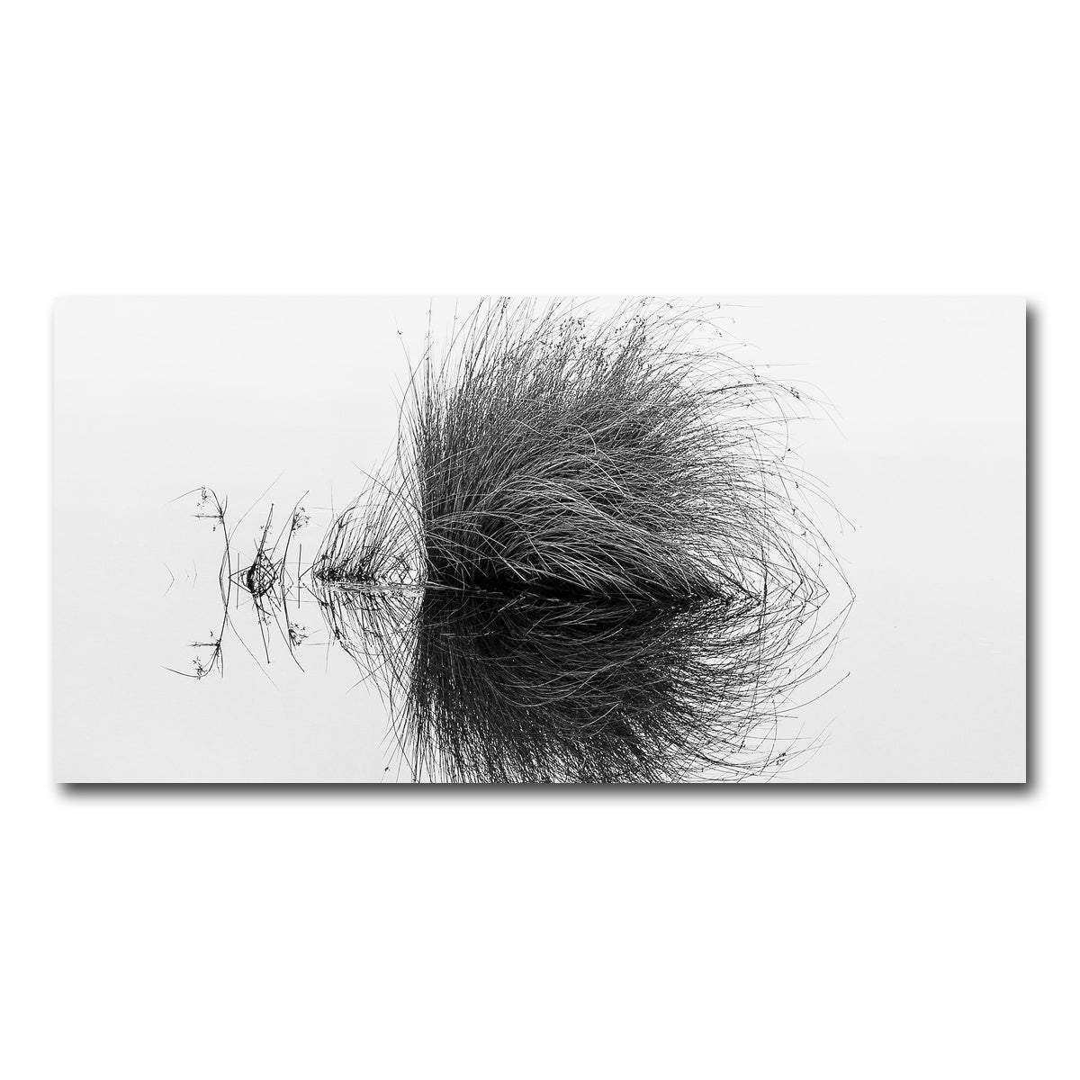 AUTO-MOCKUP WHITE | Water Bush | 1 Piece | Gallery Wrap Canvas | group=2x1