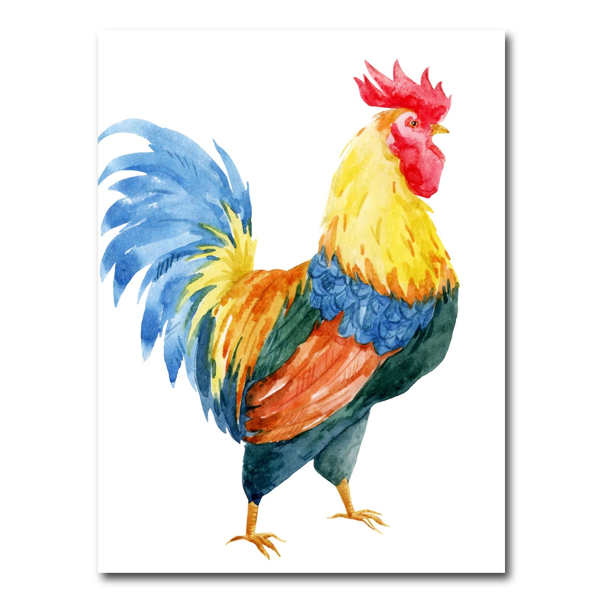 AUTO-MOCKUP WHITE | Watercolor rooster | 1 Piece | Gallery Wrap Canvas | group=3x4