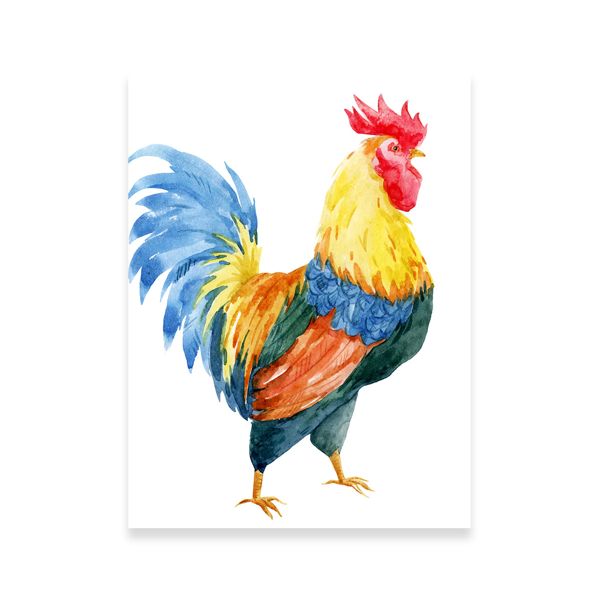 Watercolor rooster Wall Art