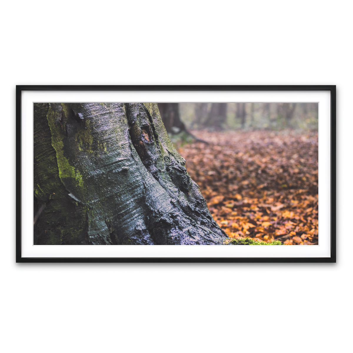 Framed Print 2x1 Black