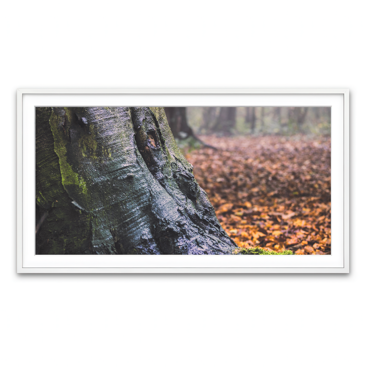 Framed Print 2x1 White