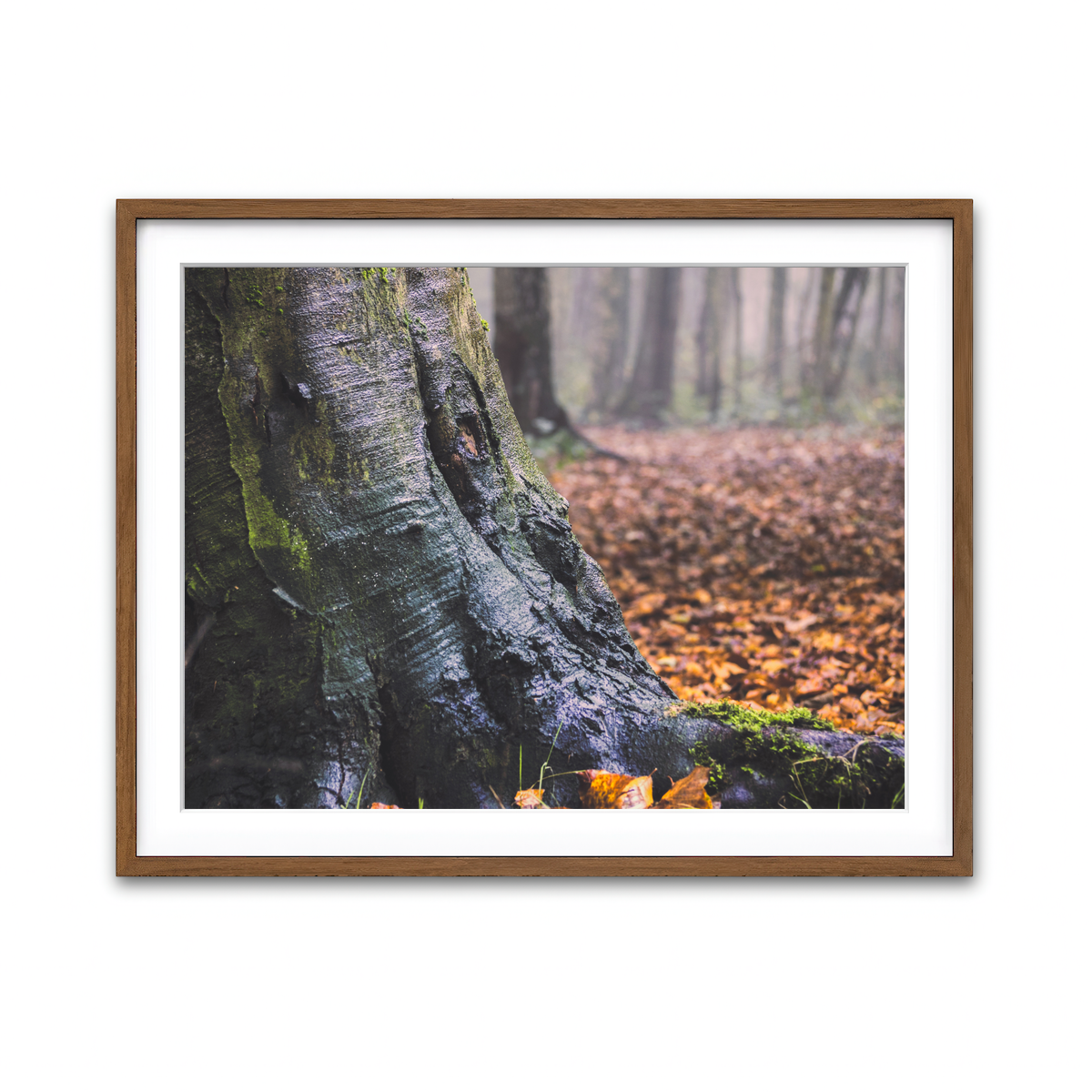 Framed Print 4x3 Walnut