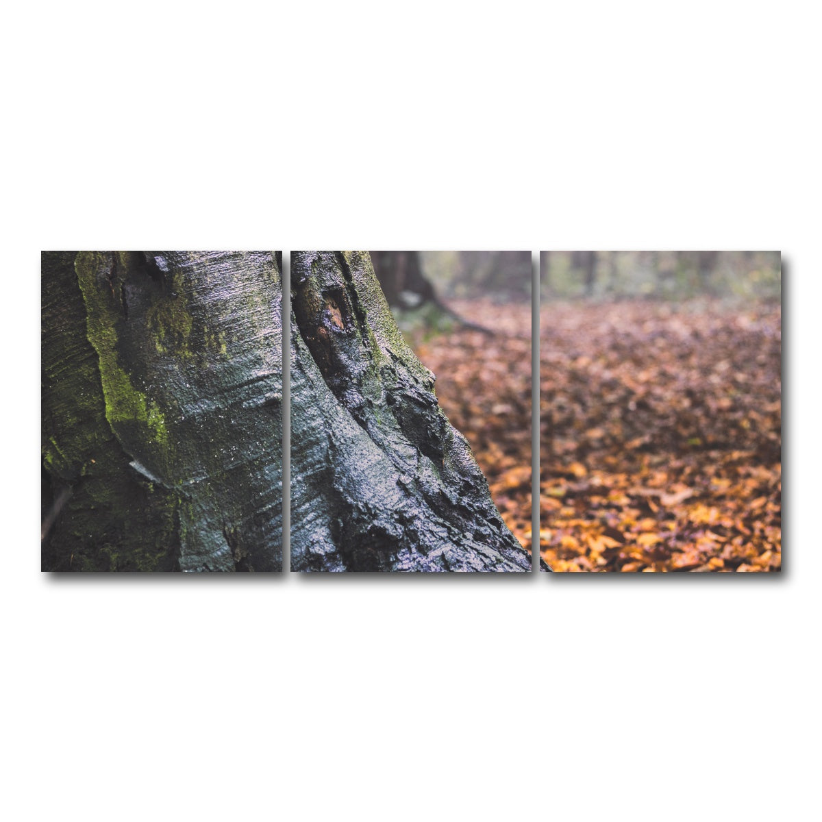 AUTO-MOCKUP WHITE | Weathered Trunk | 3 Piece | Gallery Wrap Canvas | group=18x24