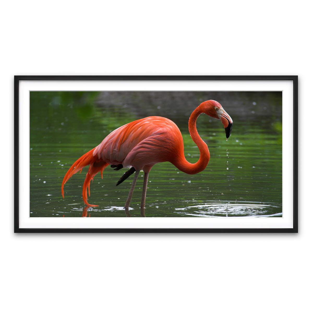 Framed Print 2x1 Black