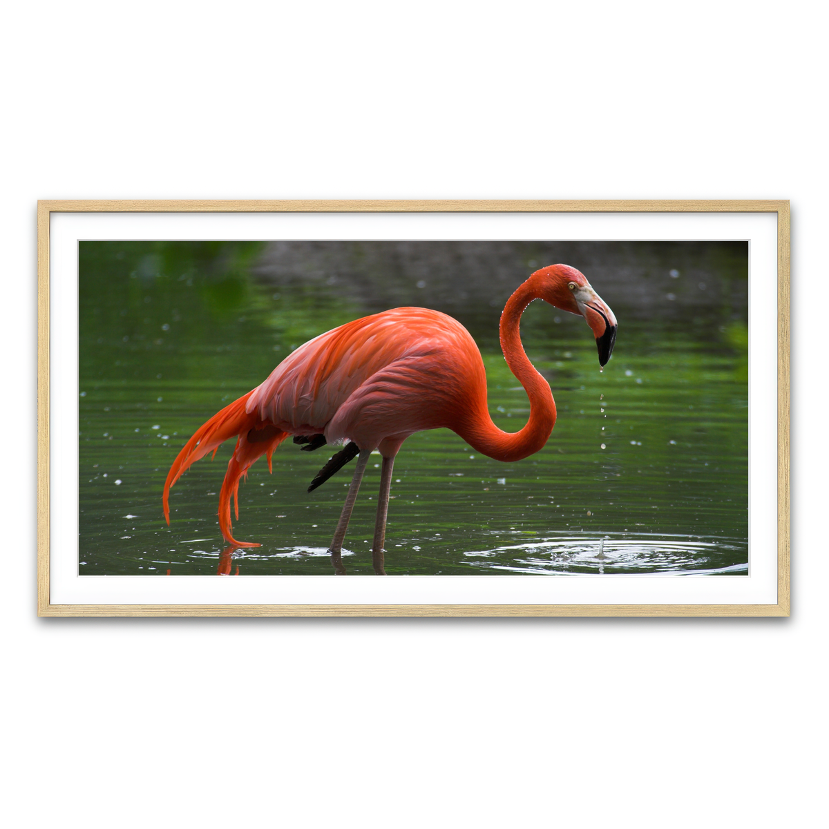 Framed Print 2x1 Natural