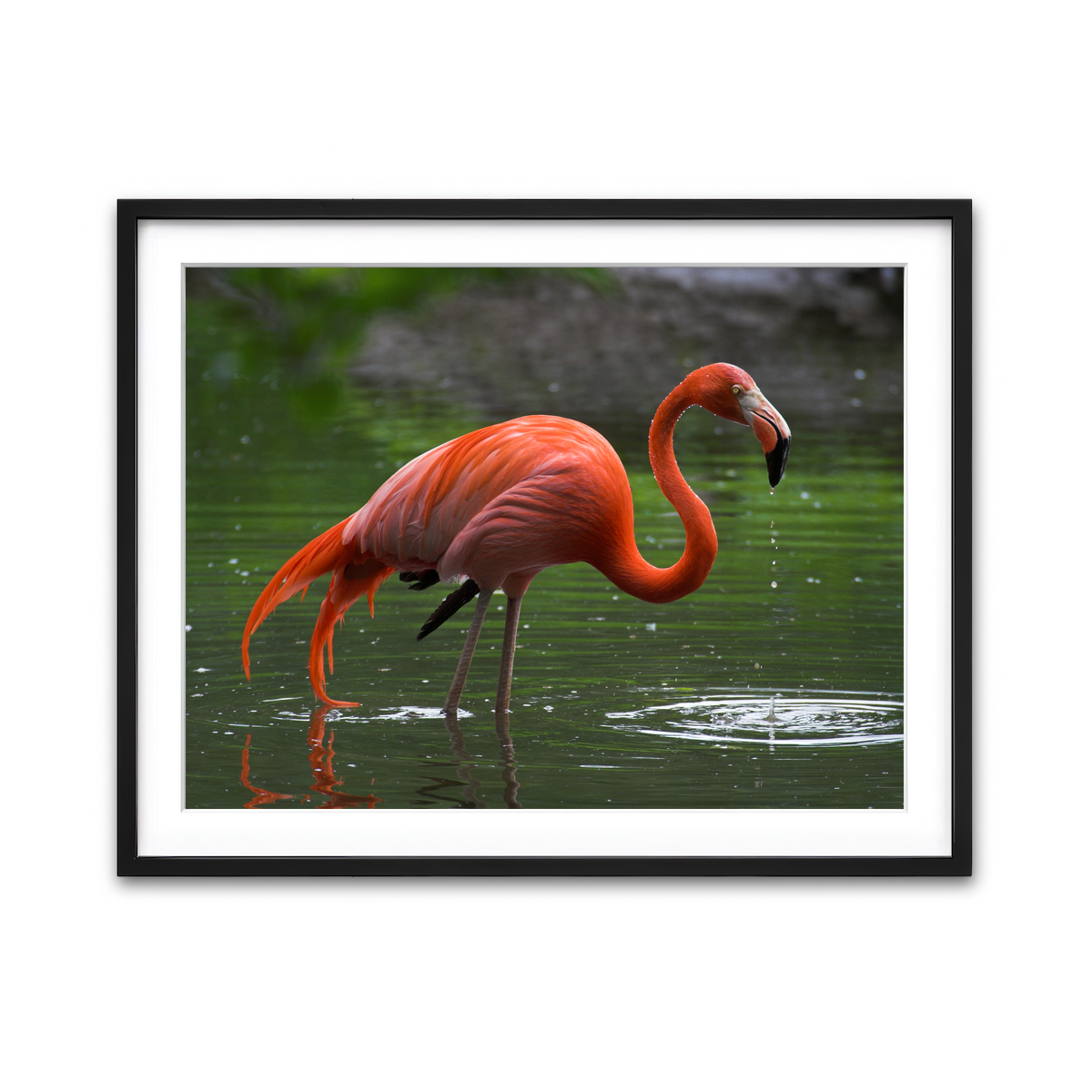 Framed Print 4x3 Black