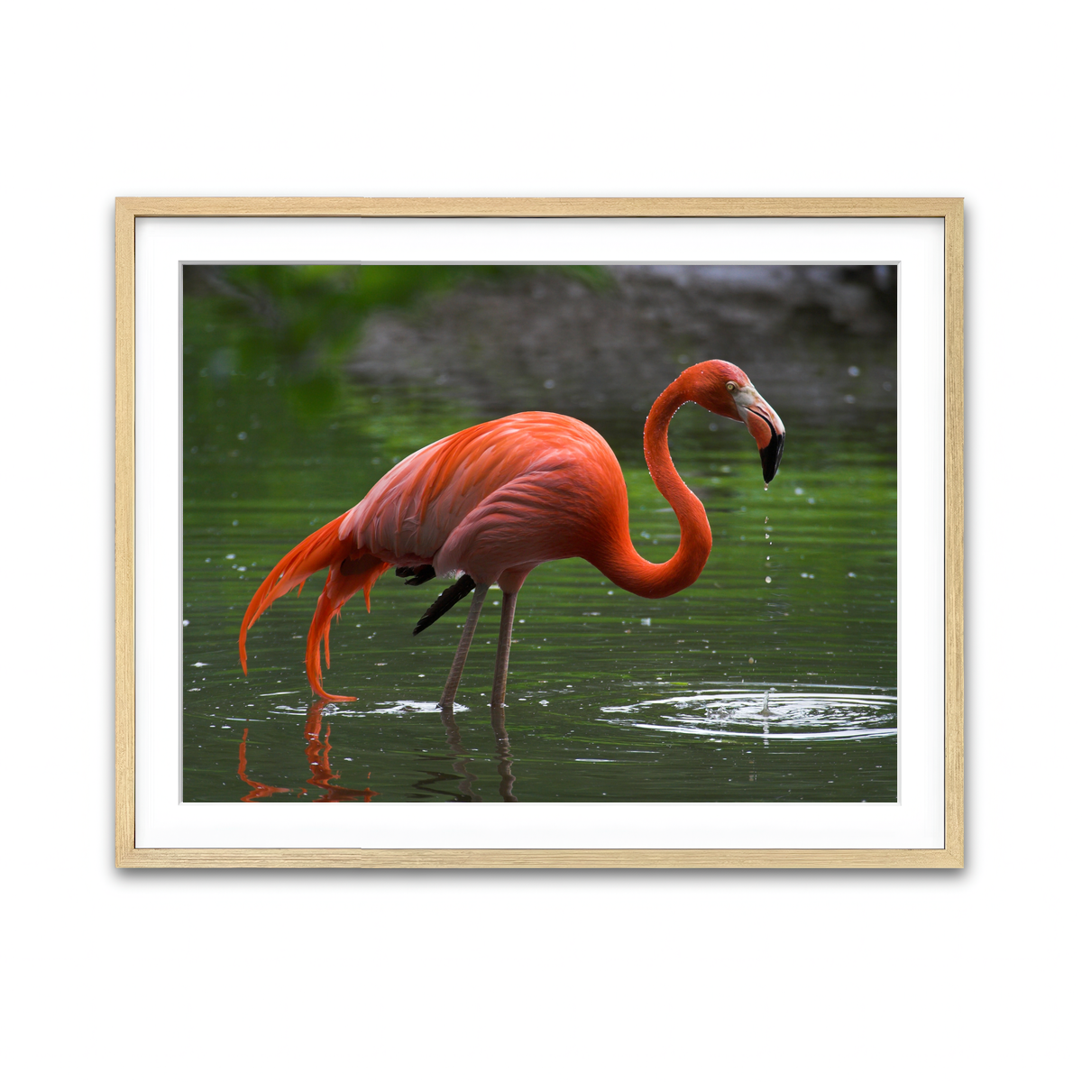 Framed Print 4x3 Natural