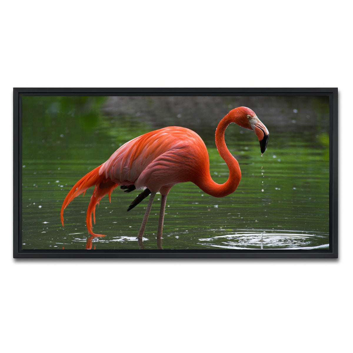 AUTO-MOCKUP WHITE | Wet Flamingo | 1 Piece | Black Framed Canvas | group=2x1