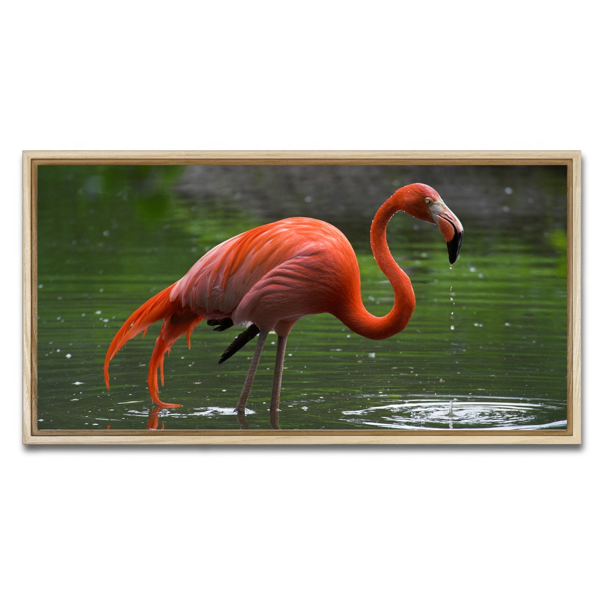 AUTO-MOCKUP WHITE | Wet Flamingo | 1 Piece | Natural Framed Canvas | group=2x1