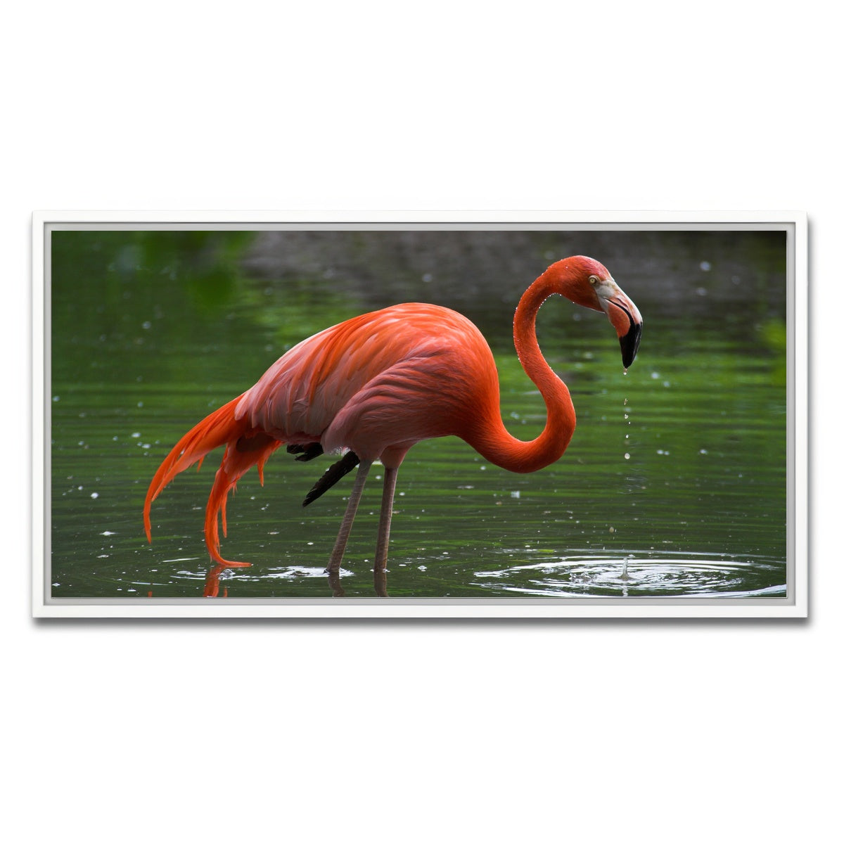AUTO-MOCKUP WHITE | Wet Flamingo | 1 Piece | White Framed Canvas | group=2x1