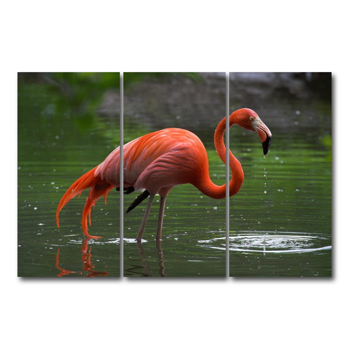 AUTO-MOCKUP WHITE | Wet Flamingo | 3 Piece | Gallery Wrap Canvas | group=12x24