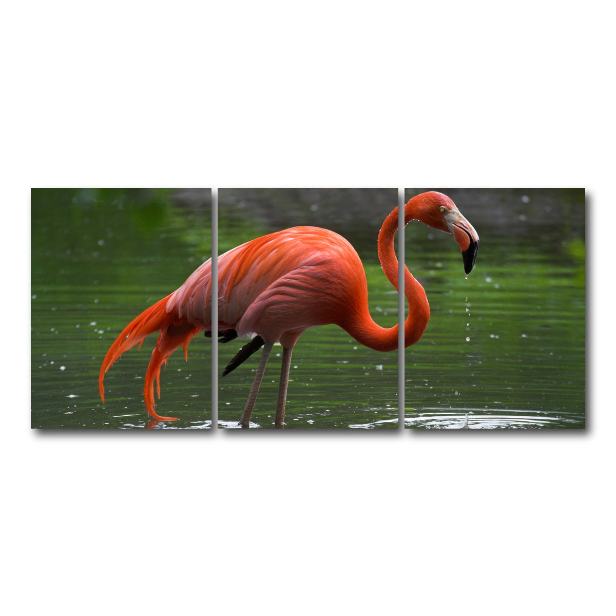 AUTO-MOCKUP WHITE | Wet Flamingo | 3 Piece | Gallery Wrap Canvas | group=18x24