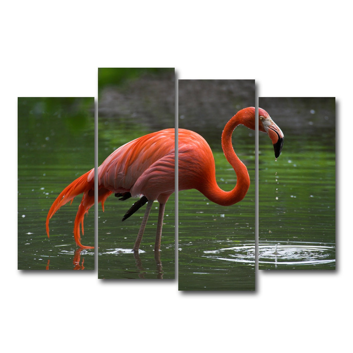 AUTO-MOCKUP WHITE | Wet Flamingo | 4 Piece | Gallery Wrap Canvas | group=4_normal