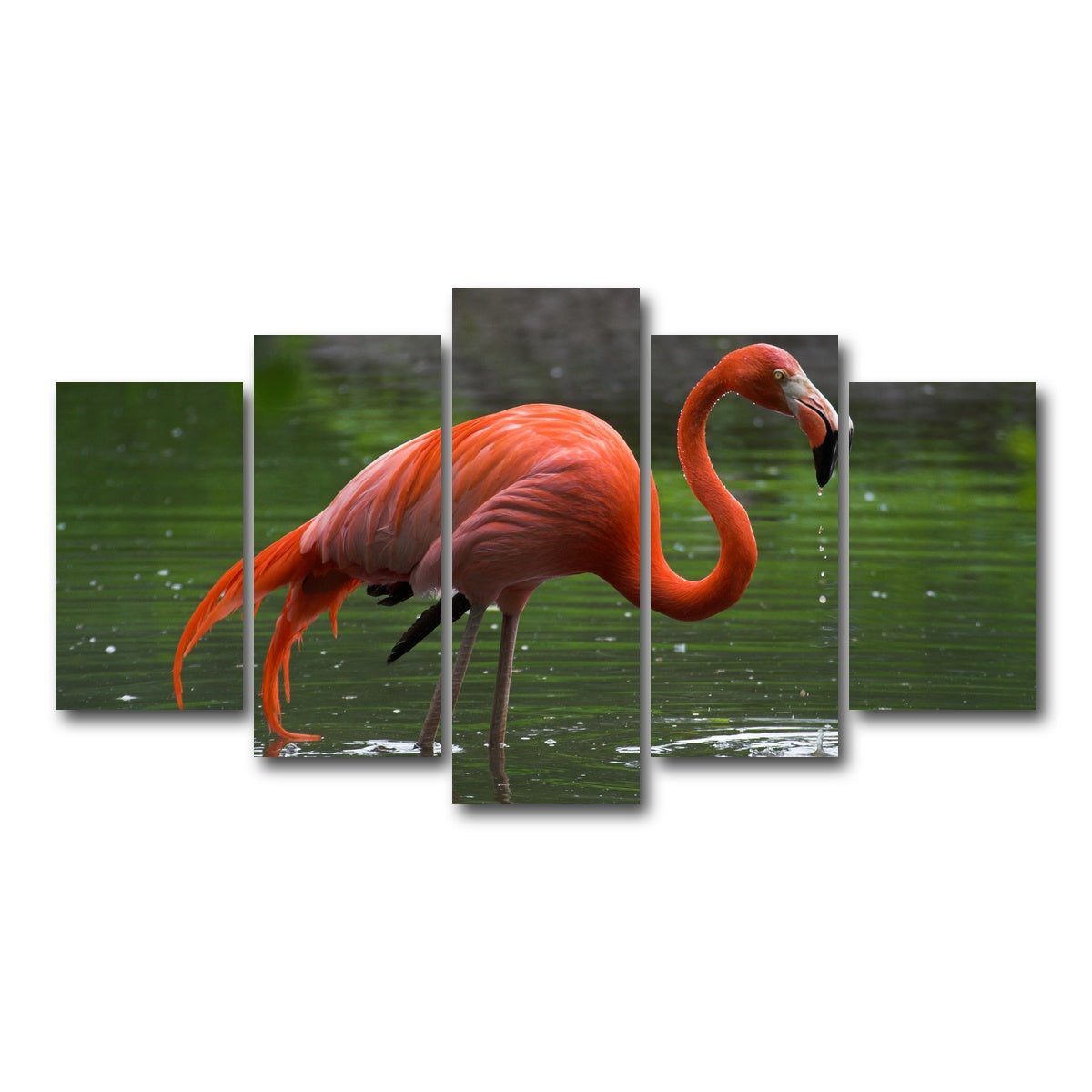 AUTO-MOCKUP WHITE | Wet Flamingo | 5 Piece | Gallery Wrap Canvas | group=5_normal