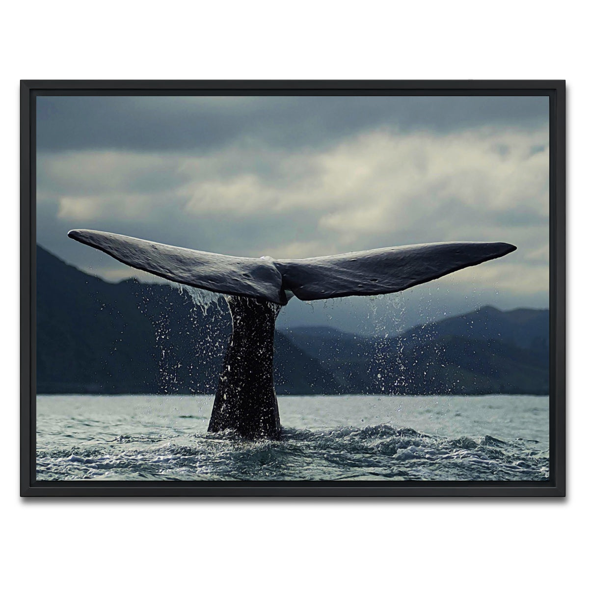 AUTO-MOCKUP WHITE | Whale Tail | 1 Piece | Black Framed Canvas | group=4x3