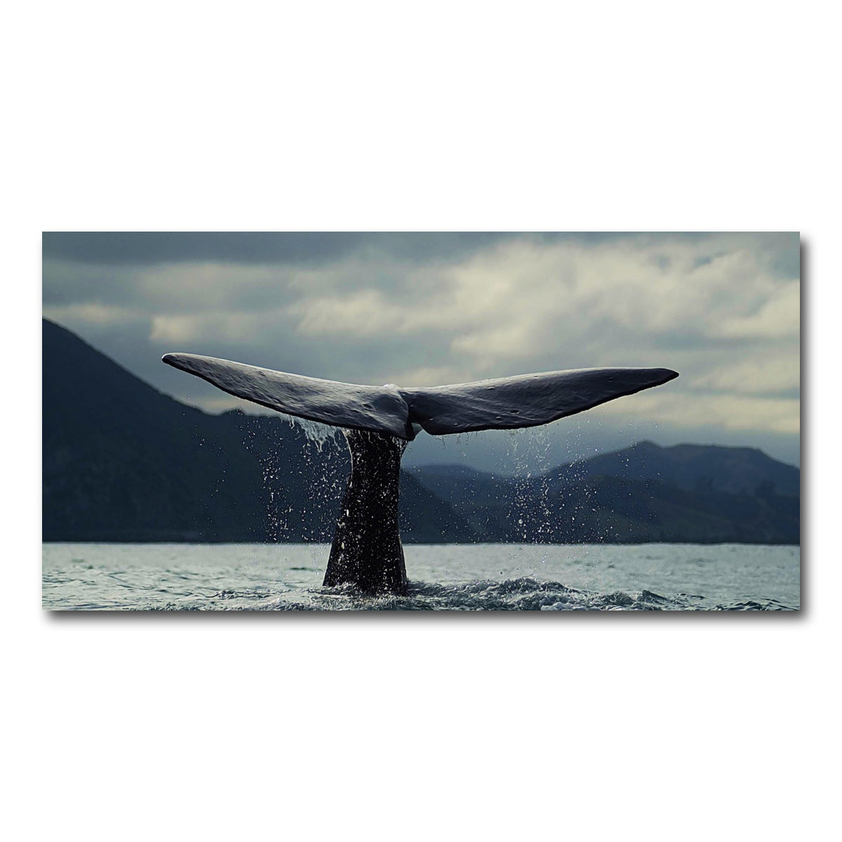AUTO-MOCKUP WHITE | Whale Tail | 1 Piece | Gallery Wrap Canvas | group=2x1