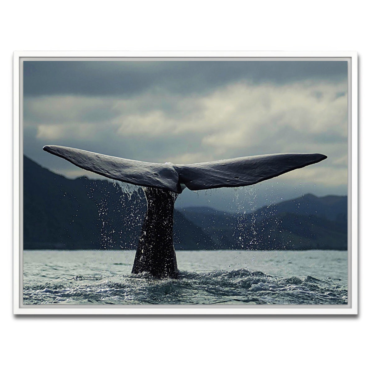 AUTO-MOCKUP WHITE | Whale Tail | 1 Piece | White Framed Canvas | group=4x3