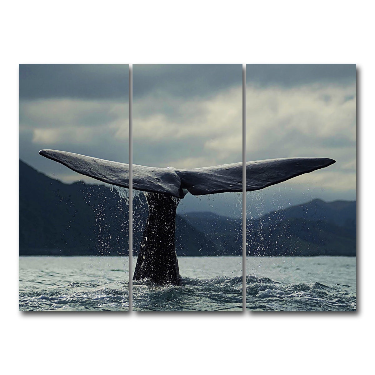 AUTO-MOCKUP WHITE | Whale Tail | 3 Piece | Gallery Wrap Canvas | group=8x18
