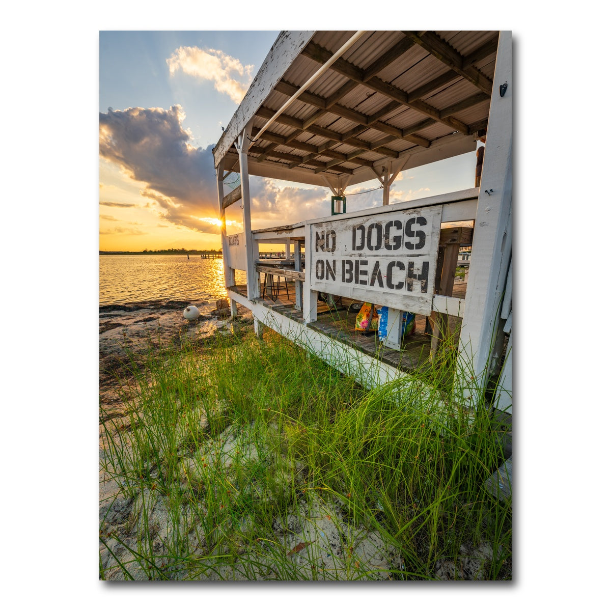 AUTO-MOCKUP WHITE | What Sign? | 1 Piece | Gallery Wrap Canvas | group=3x4