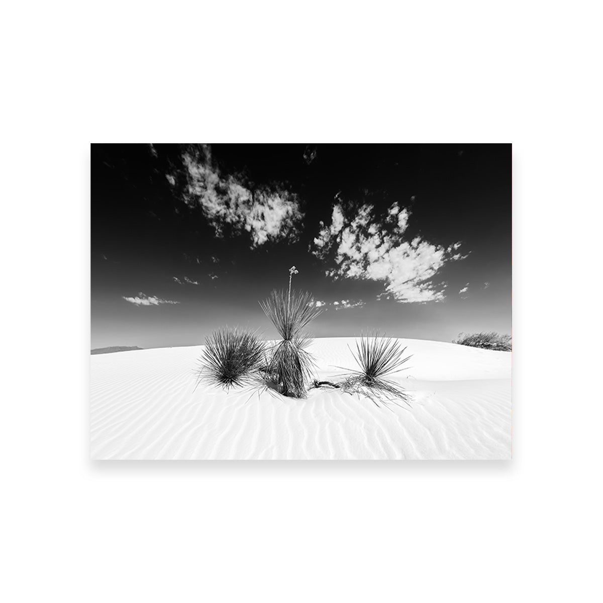 White Sands Impression Monochrome Wall Art