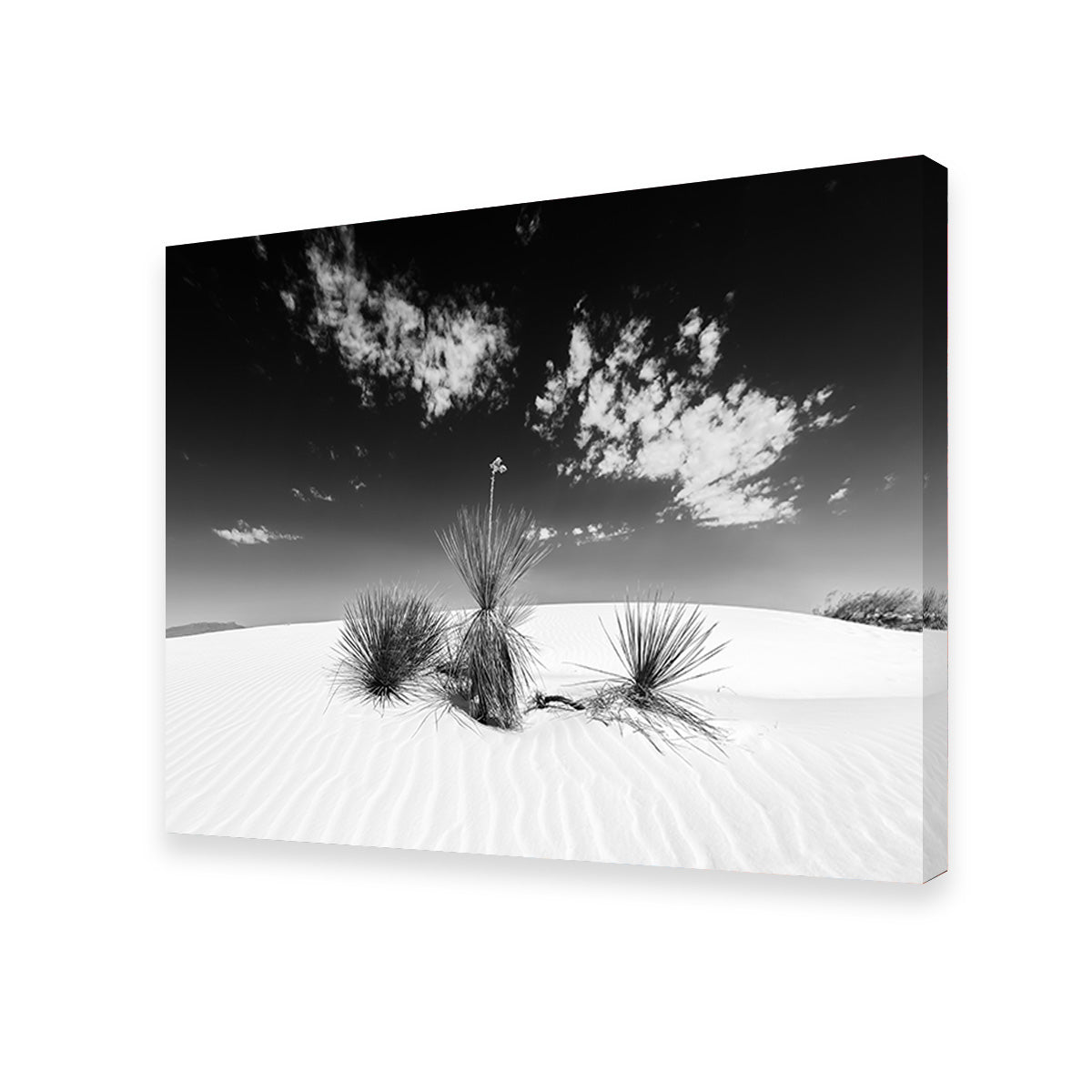 White Sands Impression Monochrome Wall Art