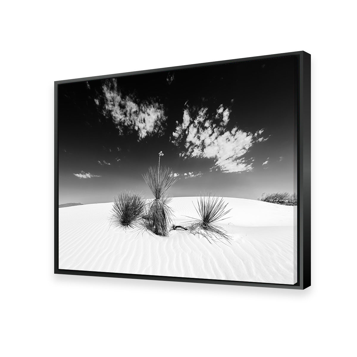 White Sands Impression Monochrome Wall Art