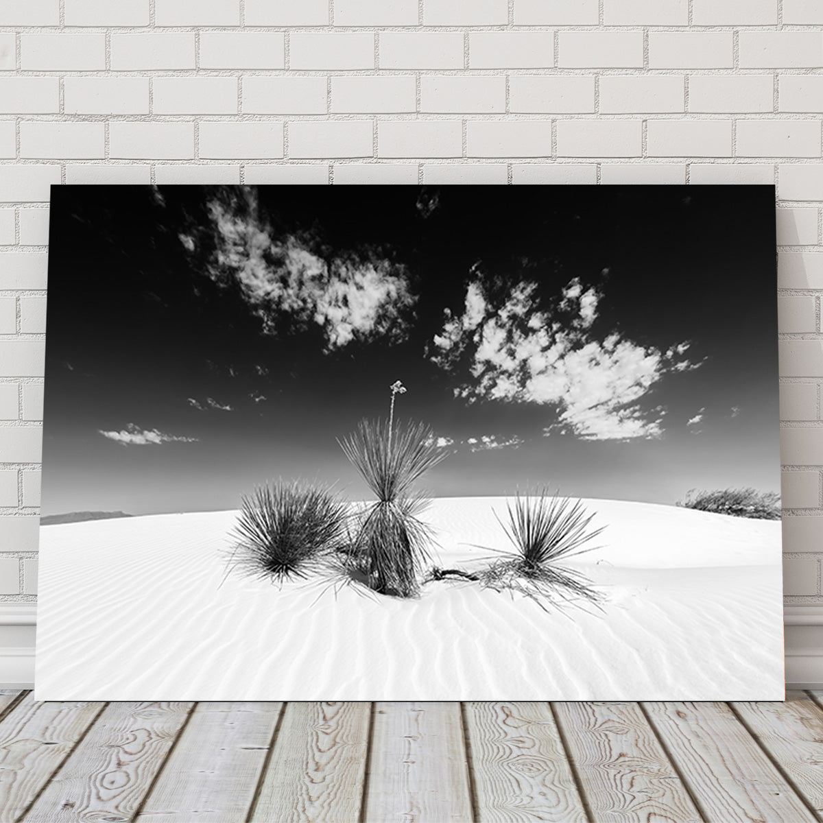 White Sands Impression Monochrome Wall Art