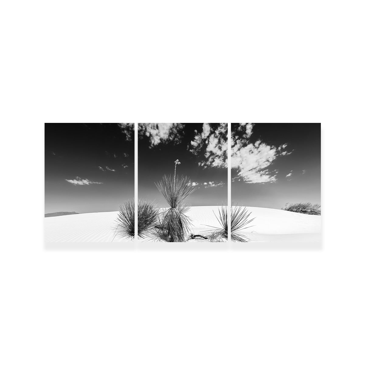 White Sands Impression Monochrome Wall Art