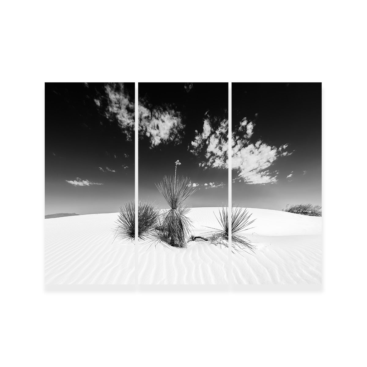 White Sands Impression Monochrome Wall Art