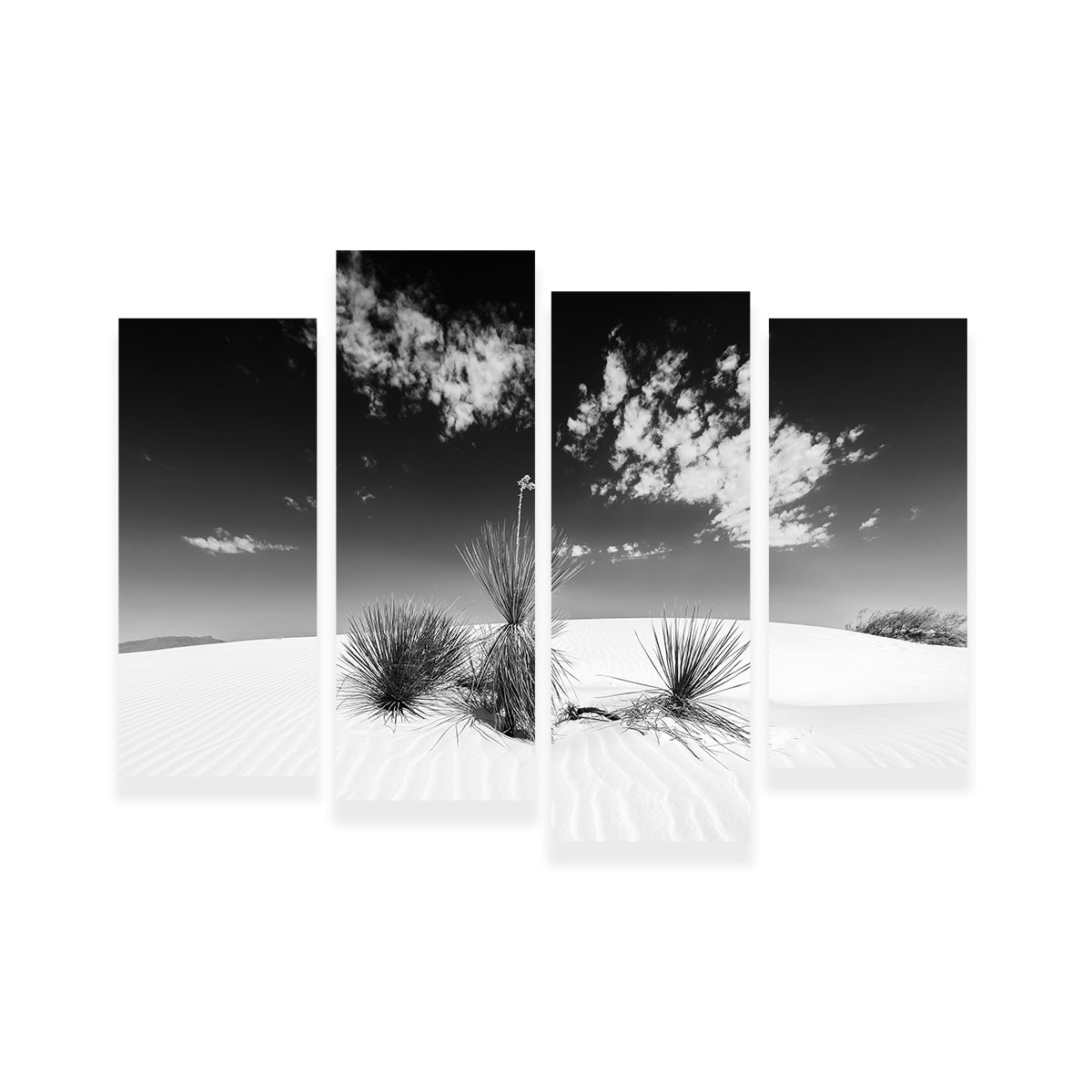 White Sands Impression Monochrome Wall Art