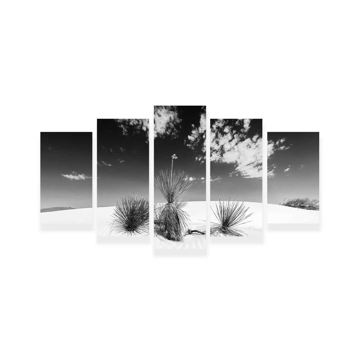 White Sands Impression Monochrome Wall Art