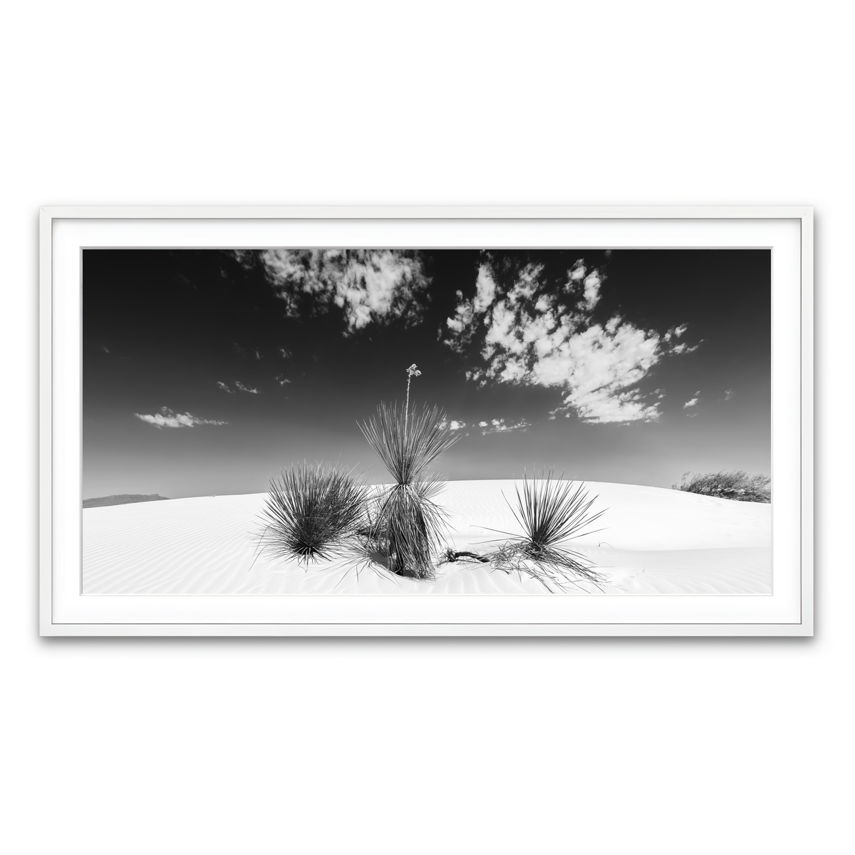 Framed Print 2x1 White