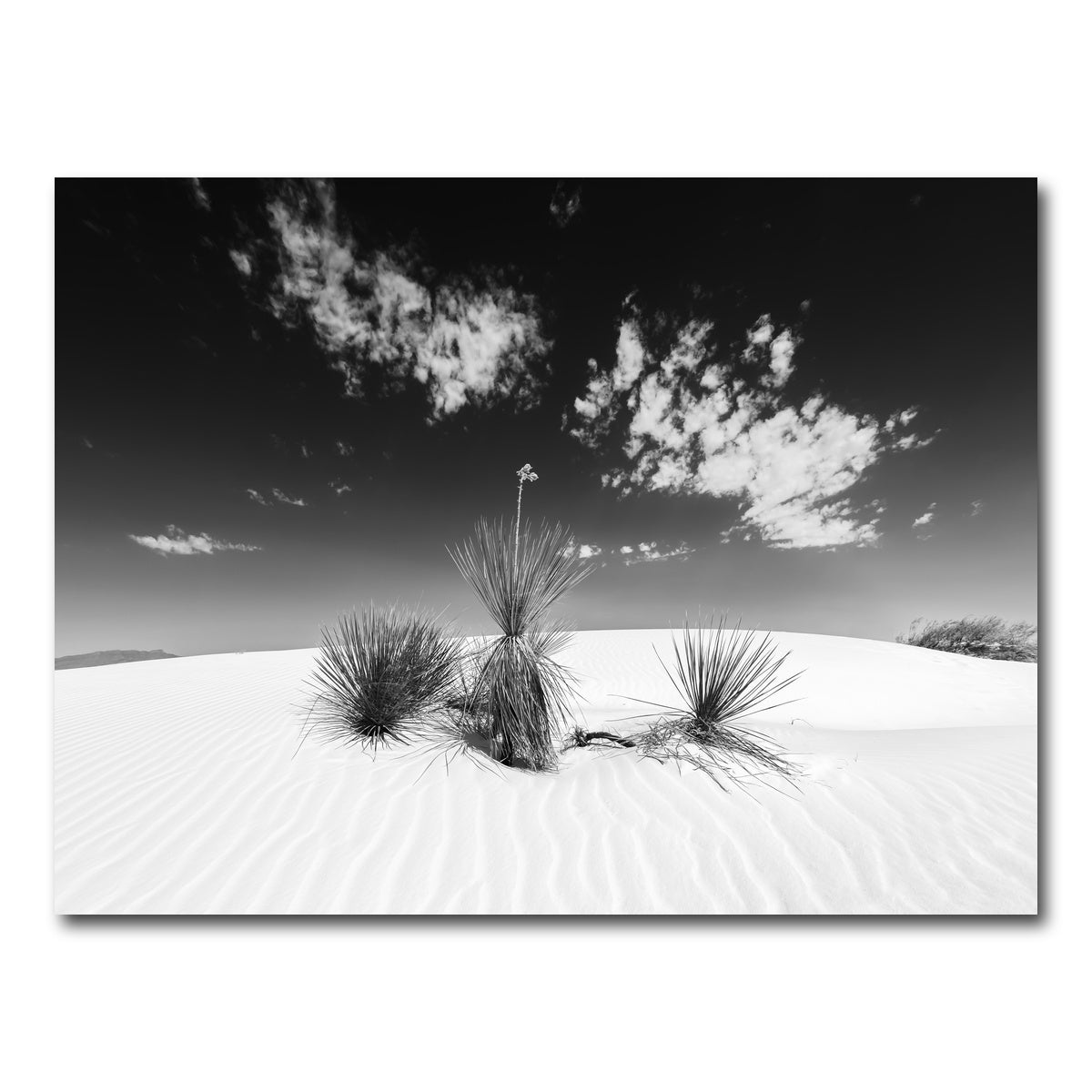 AUTO-MOCKUP WHITE | White Sands Impression Monochrome | 1 Piece | Gallery Wrap Canvas | group=4x3