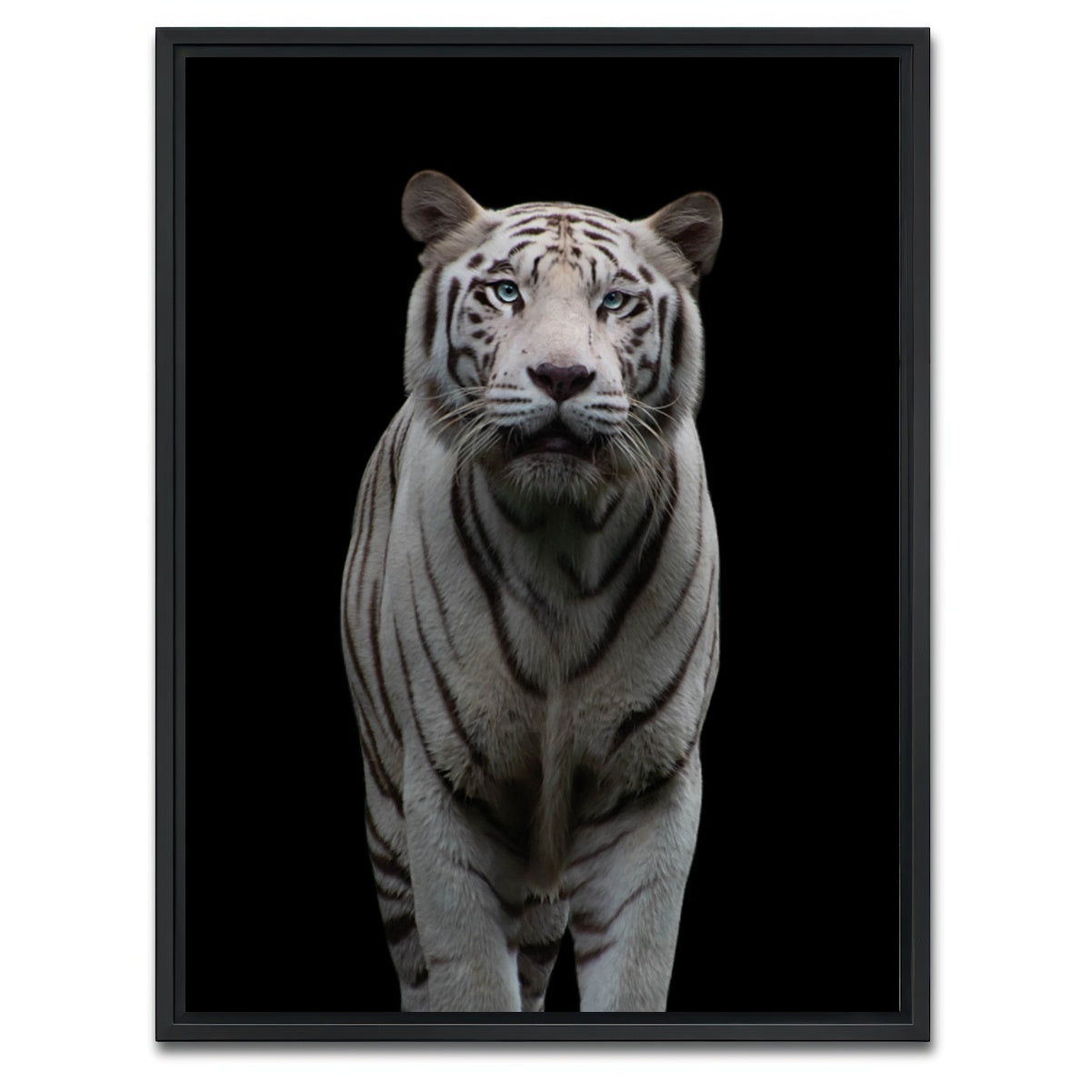 AUTO-MOCKUP WHITE | White Tiger | 1 Piece | Black Framed Canvas | group=3x4