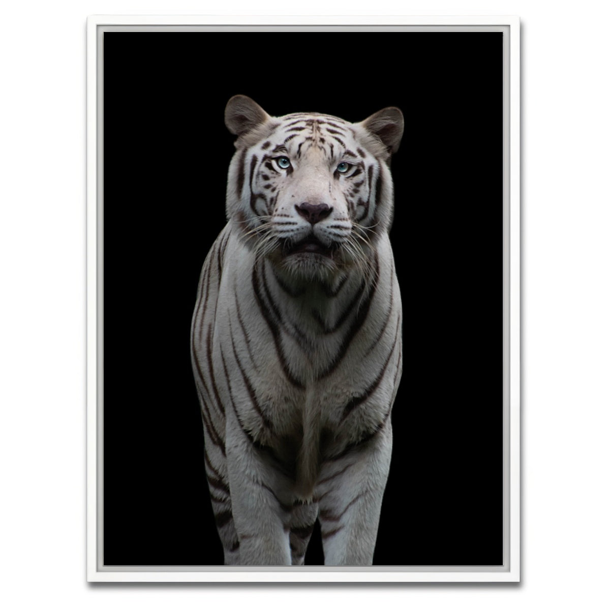AUTO-MOCKUP WHITE | White Tiger | 1 Piece | White Framed Canvas | group=3x4